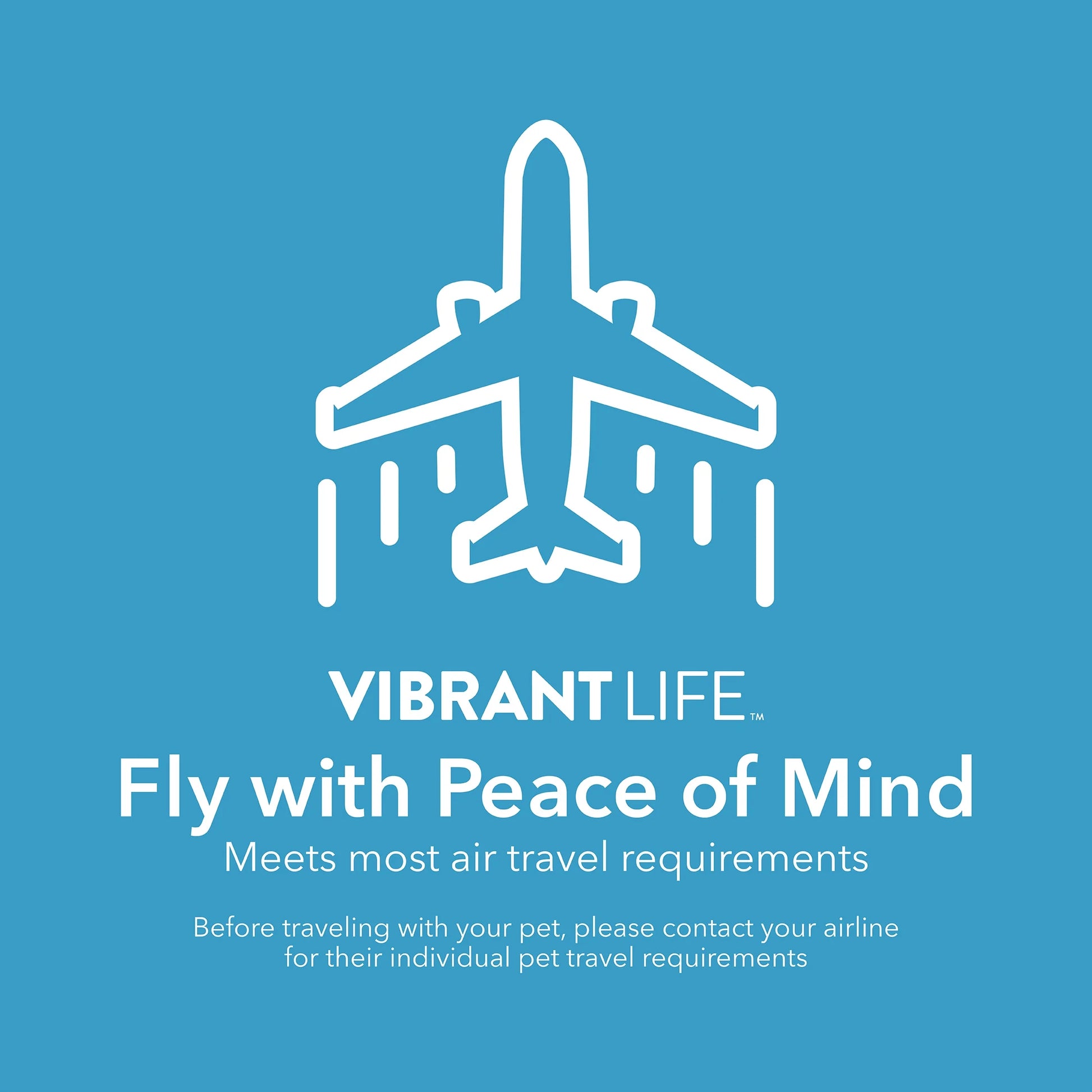 Vibrant Life Extra Small Hard-Sided Pet Kennel - Durable Travel Carrier for Dogs & Cats up to 10 lbs - Black & Grey, 19" L x 12.3" W x 10.8" H