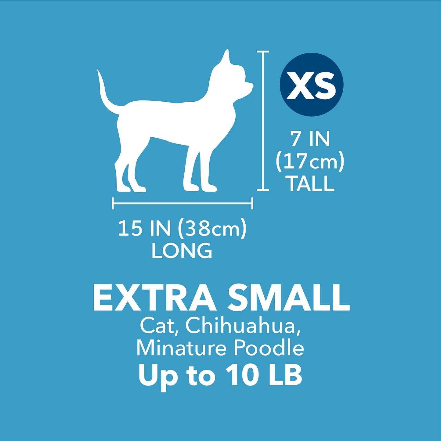 Vibrant Life Extra Small Hard-Sided Pet Kennel - Durable Travel Carrier for Dogs & Cats up to 10 lbs - Black & Grey, 19" L x 12.3" W x 10.8" H